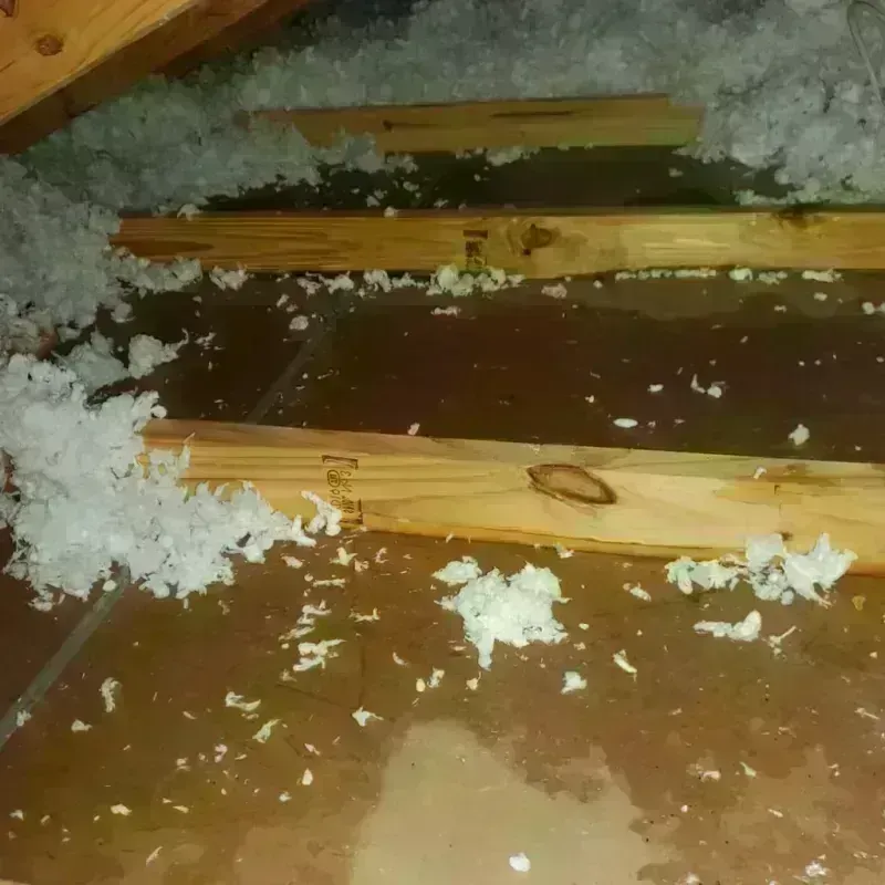 Attic Water Damage in Evanston, IL