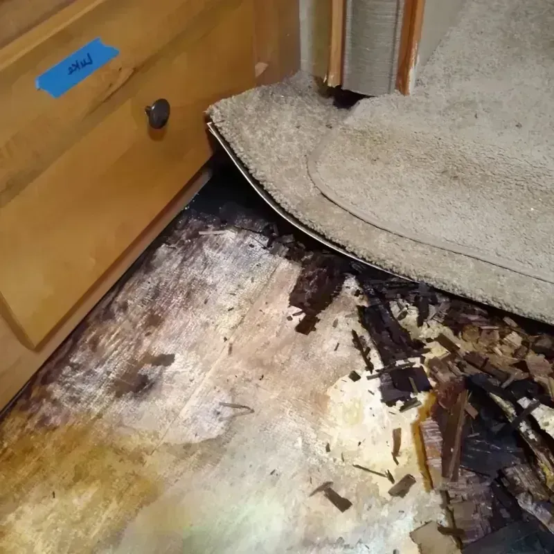 Best Wood Floor Water Damage Service in Evanston, IL